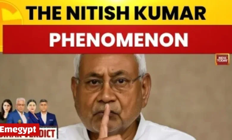 Dunnes Stores Shoppers Flock to Snag Stunning Statement Winter Coat for Only €60