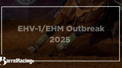 EHV-1/EHM Outbreak: What Horse Owners Need to Know After Cases Linked to November Events in Texas