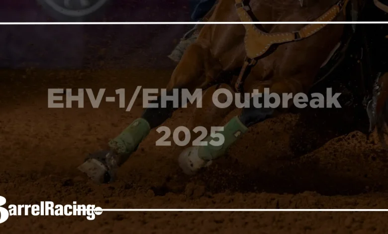 EHV-1/EHM Outbreak: What Horse Owners Need to Know After Cases Linked to November Events in Texas