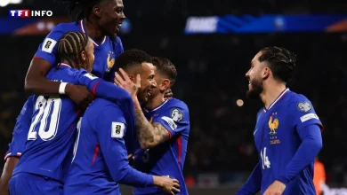 EN DIRECT - France-Ukraine (0-0) : les Bleus à une victoire du Mondial, suivez le match décisif sur TF1