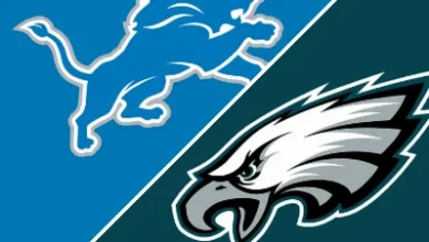Eagles 16-9 Lions (Nov 16, 2025) Game Recap