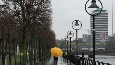 East and midlands feel the chill as Met Éireann issues Status Yellow low-temperature warning