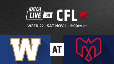 Eastern Semi-Final: Winnipeg Blue Bombers at Montreal Alouettes