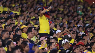 Ecuador vs New Zealand Prediction and Betting Tips | November 18th 2025