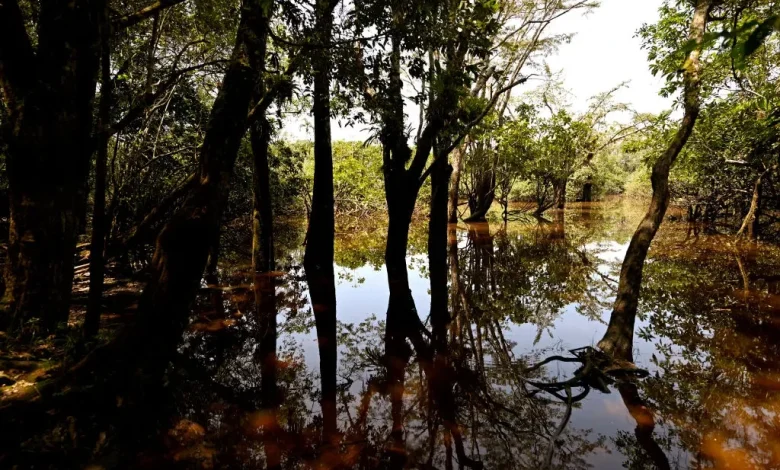 Ecuador's Constitution Protects Nature. Now That's at Risk