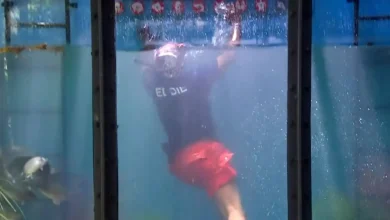 Eddie Kadi screams in horror as I'm A Celebrity Bushtucker Trial goes VERY wrong