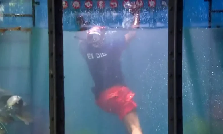 Eddie Kadi screams in horror as I'm A Celebrity Bushtucker Trial goes VERY wrong