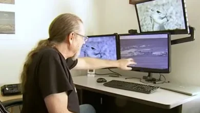 Eerie audio reveals moment object crashes near Area 51 as FBI launch probe