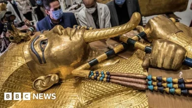 Egypt's Grand Museum opens, displaying Tutankhamun tomb in full for first time