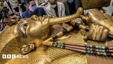 Egypt's Grand Museum opens, displaying Tutankhamun tomb in full for first time