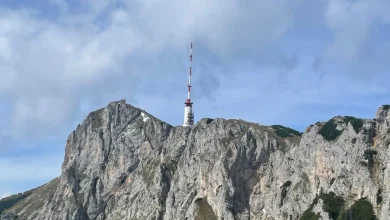 Einen schönen heutigen Tag wünscht euch Hildegard