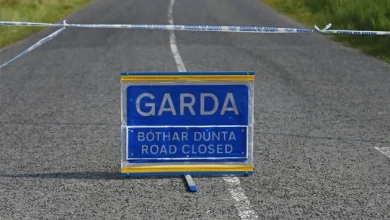Emergency services at scene of car crash on R132 in Meath