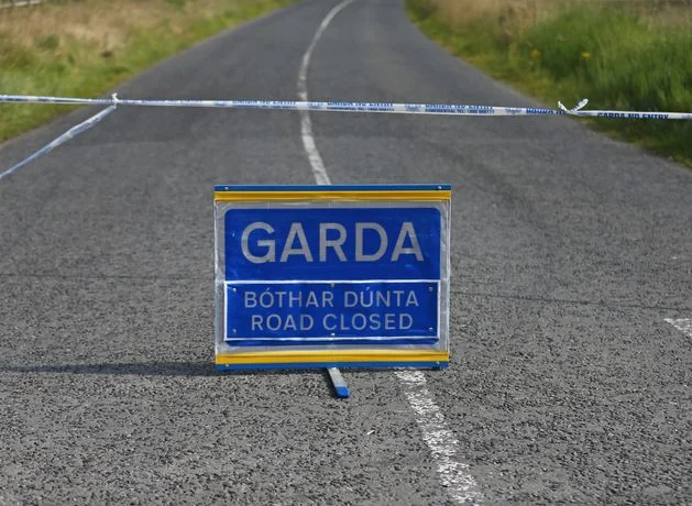 Emergency services at scene of car crash on R132 in Meath