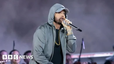 Eminem sues Australian beach brand 'Swim Shady'