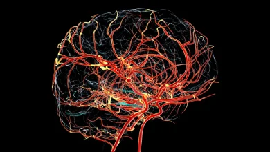 Enabling tailored care for China’s ageing society