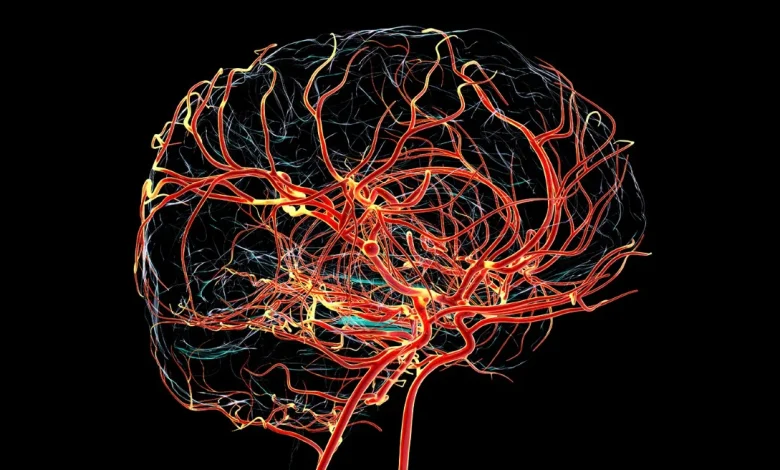 Enabling tailored care for China’s ageing society