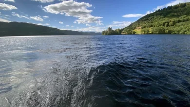 Enigma: The Monster of Loch Ness on 5 +1: full details and when it's on