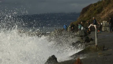 Environment Canada warns of storm surge as winds and high tides combine on B.C. coast