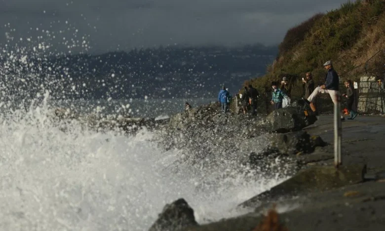 Environment Canada warns of storm surge as winds and high tides combine on B.C. coast