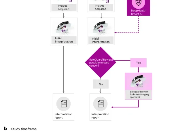 Equitable impact of an AI-driven breast cancer screening workflow in real-world US-wide deployment