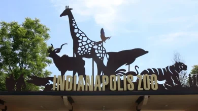 Escaped animal reported at Indianapolis Zoo, fire department on standby