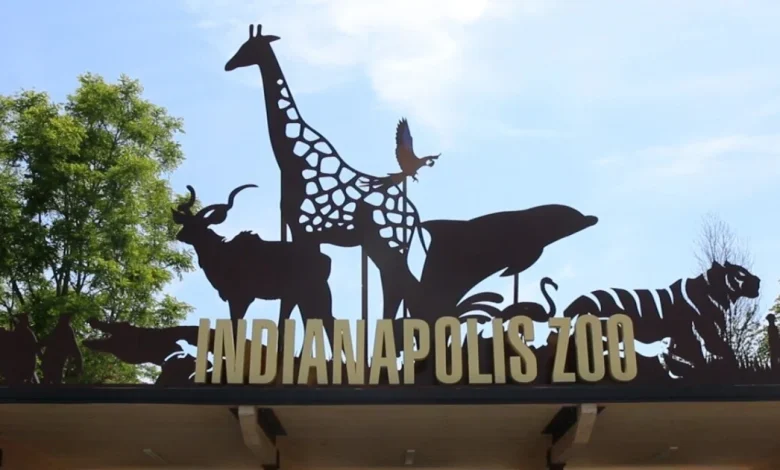 Escaped animal reported at Indianapolis Zoo, fire department on standby