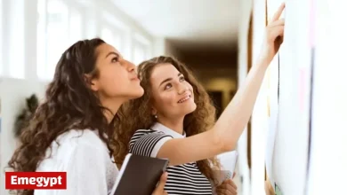 Essential CAO 2026 Guide: Key Dates, Application Tips, and Points Forecast for Leaving Cert Students