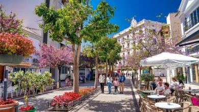 Estepona Sees Unprecedented Business Growth with New Ventures Opening Every 1.5 Days in 2025