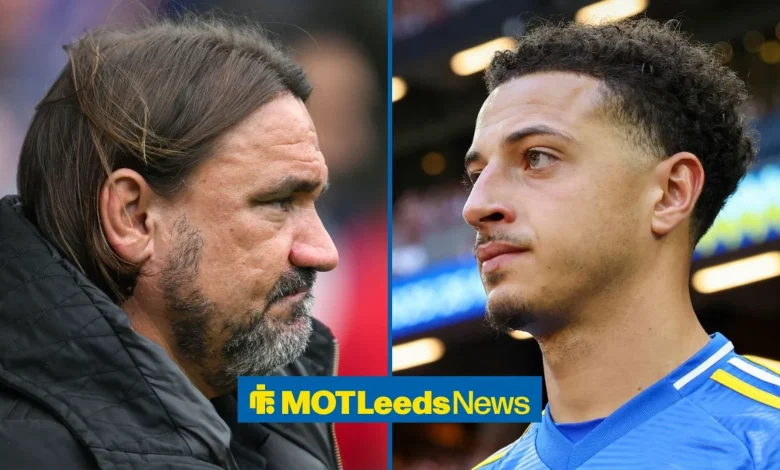Ethan Ampadu reveal showcases how Daniel Farke has it horribly wrong at Leeds