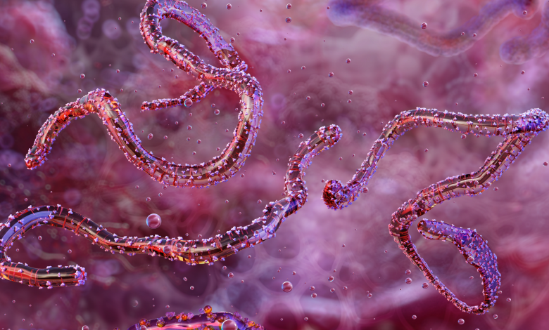 Ethiopia confirms first outbreak of Marburg virus