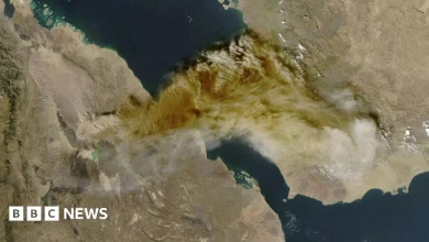 Ethiopian volcano eruption sends ash to Delhi, hitting flight operations