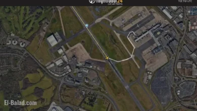 Eurowings Flight EW9330 Experiences Bird Strike During Birmingham Landing