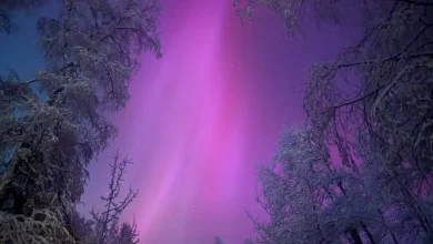 Even scientists who've studied the aurora for decades say this solar storm is special