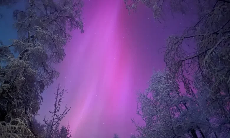 Even scientists who've studied the aurora for decades say this solar storm is special