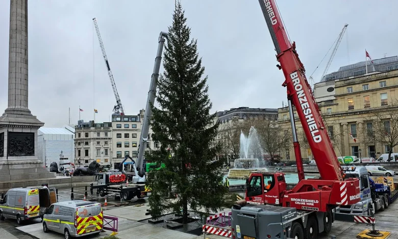 Ever Oslo wins Norway’s vote to light up Trafalgar Square this Christmas
