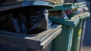 'Every' household faces black bin inspection with risk of £100 fine
