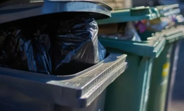 'Every' household faces black bin inspection with risk of £100 fine