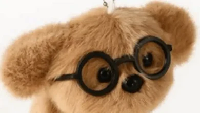 Everything you need to know as Shein recall popular children's item 'immediately'