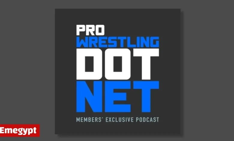 Exciting WWE Survivor Series WarGames Review: Unmissable WarGames Matches and John Cena vs Dominik Mysterio for the Intercontinental Title