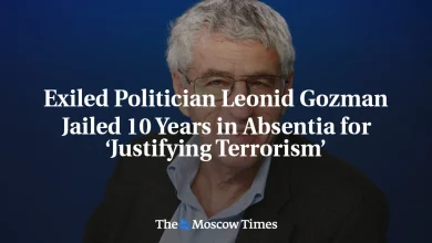 Exiled Politician Leonid Gozman Jailed 10 Years in Absentia for ‘Justifying Terrorism’