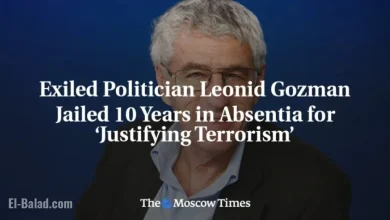 Exiled Politician Leonid Gozman Sentenced to 10 Years for Terrorism Justification