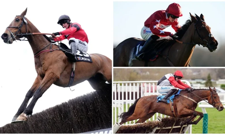 Expert Panel: Weekend Racing tips including Coral Gold Cup and Fighting Fifth Hurdle