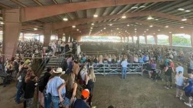 Expo enforces EHV safety measures after short shutdown