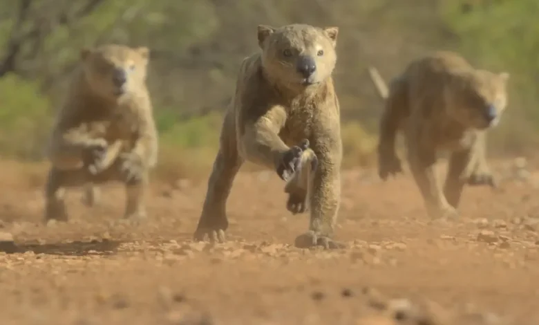 Extinct animals in Prehistoric Planet: Ice Age make it a must-watch