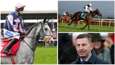 Eyecatching entries at Cheltenham November Meeting including Marble Sands