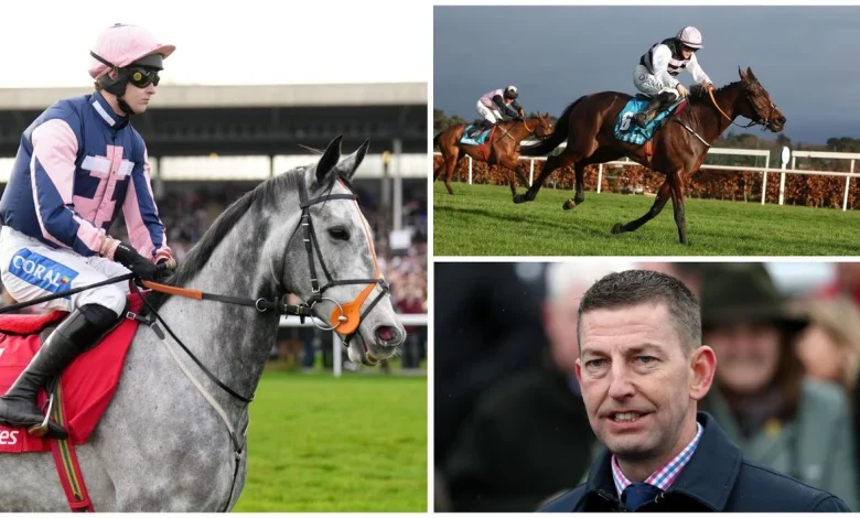 Eyecatching entries at Cheltenham November Meeting including Marble Sands