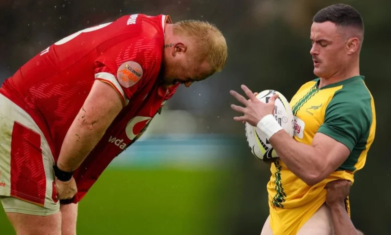 Eyes on top-dog scrap but real story lies further down rugby rankings