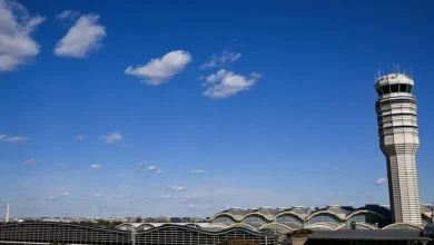 FAA Issues Ground Stop at Washington DC Airport After Security Issue Reported