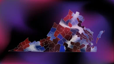 FULL LIST: All the candidates in Virginia’s 2025 House of Delegates elections