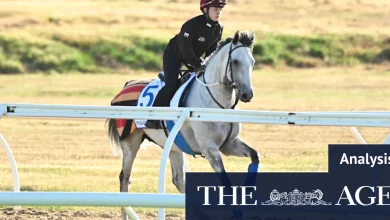 Fairytales and heavyweights: How to tip the Melbourne Cup trifecta